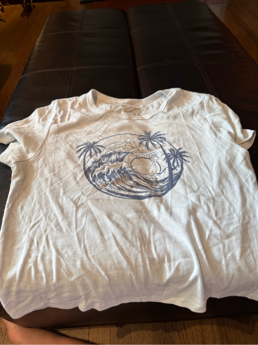 American Eagle Outfitters White Crop Top with Blue Wave Graphic